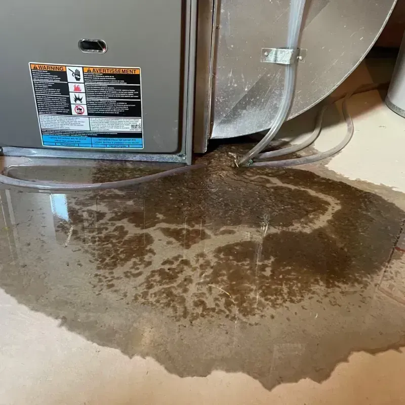 Appliance Leak Cleanup in Granger, WA